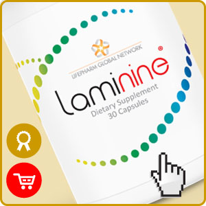 Laminine - aminohapot